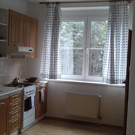Rastislavova Apartment *